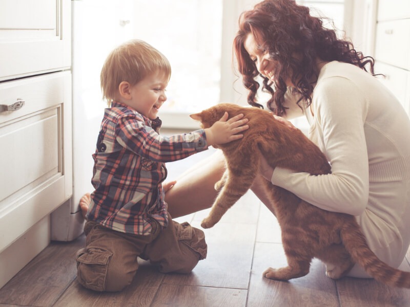 The Best Flooring Options For Pets and Children