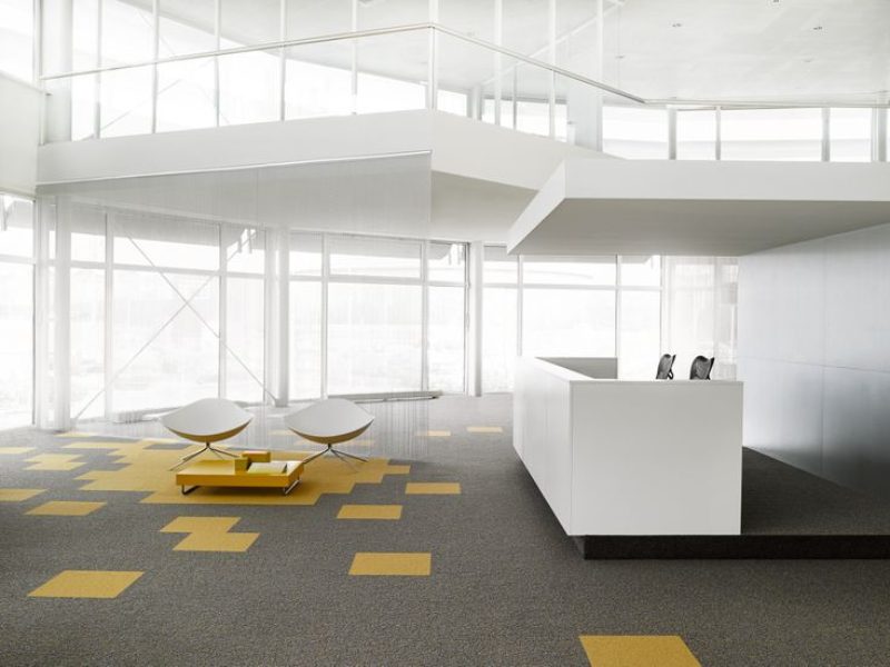 7 Questions That Will Help You Choose the Best Flooring for Your Office